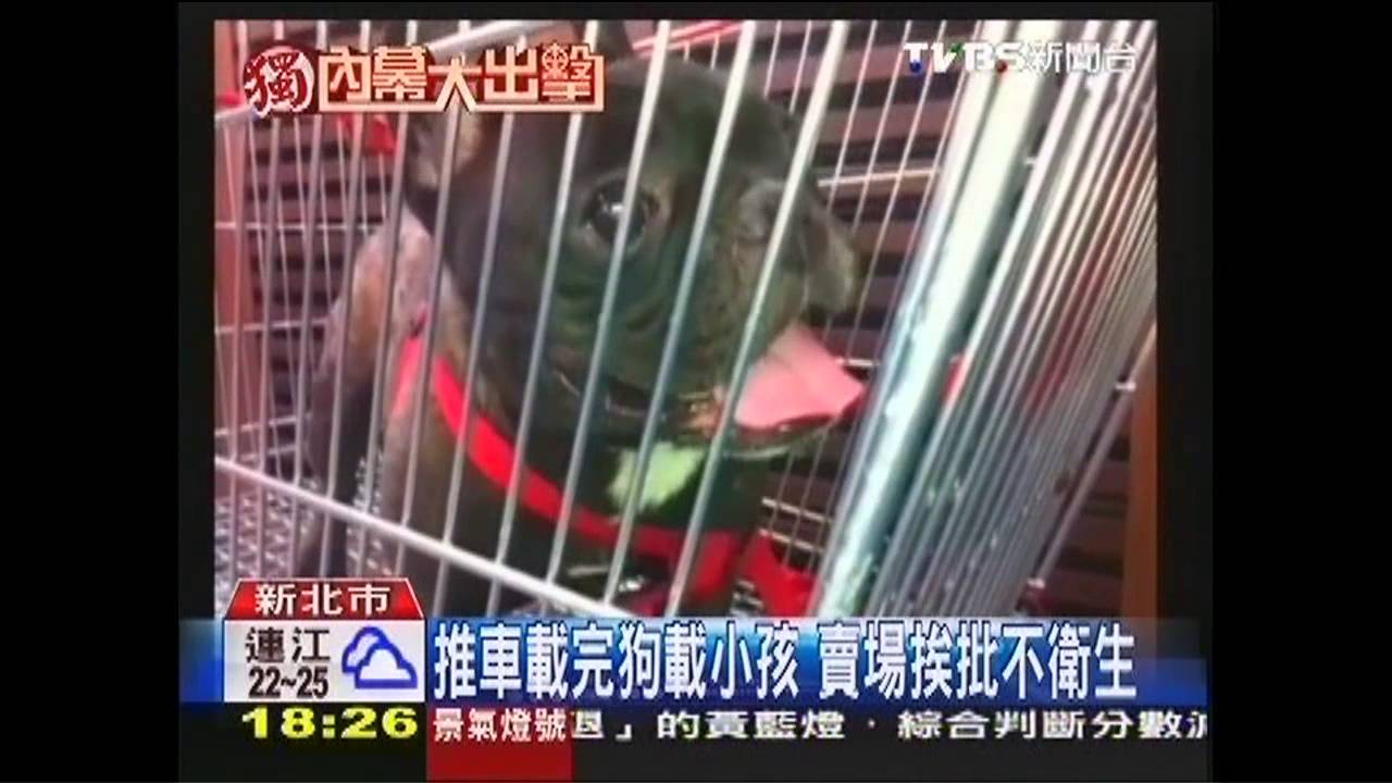 〈獨家〉推車載完狗載小孩　賣場挨批不衛生