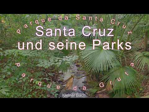 Meine 25 Schildkröten & der Wahnsinnsblick über Santa Cruz do Sul 🐢