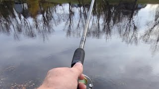Live Stream Fishing in the White Mouth River