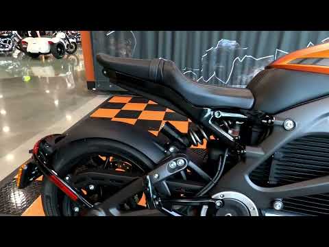 2020 Harley-Davidson Livewire™ in Shorewood, Illinois - Video 1