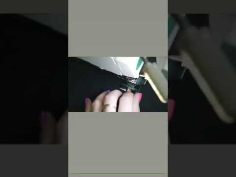 Clothing Brand Krutyakov