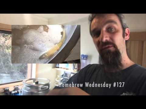 dry hop it, thats all, Homebrew Wednesday 128