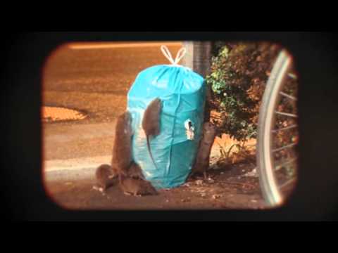 The Flow Magicianz - Lozärner met O prod. by Merlin [Official Video]