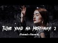 Tujhe Yaad Na Meri Aayi 2.0 (Slowed + Reverb) | Lofi | B Praak, Jaani | MD Izhar YouTube