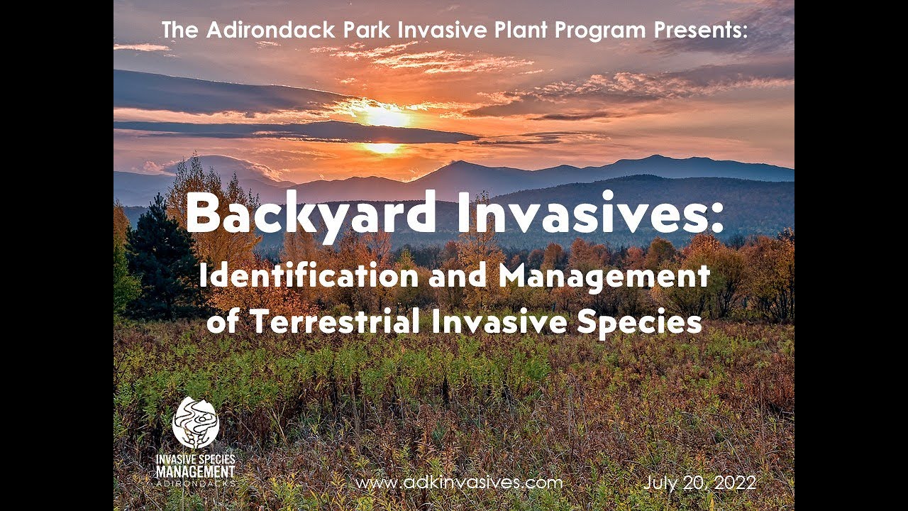 Backyard Invasives: Identification and Management of Terrestrial Invasive Species