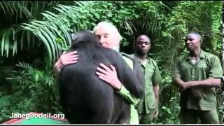 Jane Goodall Is Hugged By Rescued Chimp.Touching!