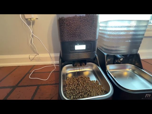 Best USB-C Automatic Pet Feeder and Water Dispenser - close-up view