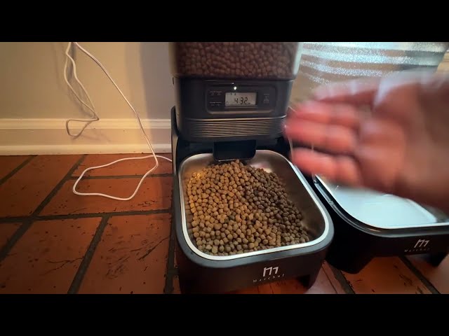 Best USB-C Automatic Pet Feeder and Water Dispenser - product in use