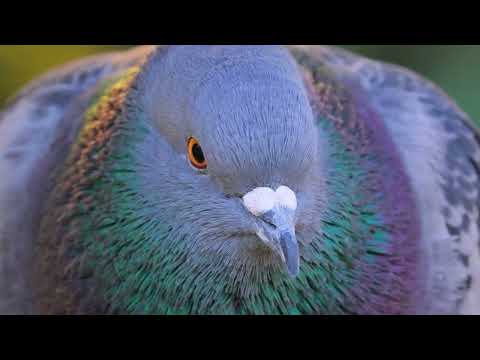 Explore the Digital Main Street: Mastering Social Media in 2024