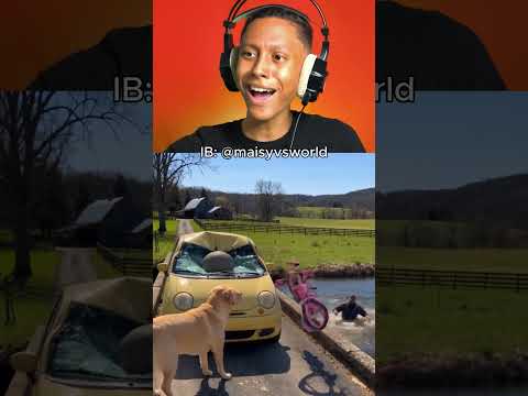 O CACHORRO SO DEU O TROCO MESMO KK.#reaction #shorts #viral