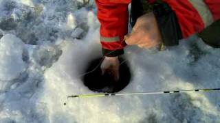 preview picture of video 'Ice fishing Zander in Sweden by Cory from Team Fish On'