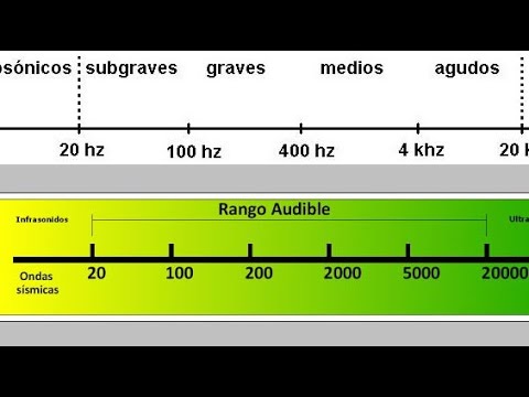 Datos Técnicos Drivers JBL #jbl #usa #caraudio #music #speaker #driver #trending #sonideros