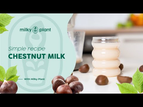 How to Make Chestnut Milk with the Milky Plant 🌰
