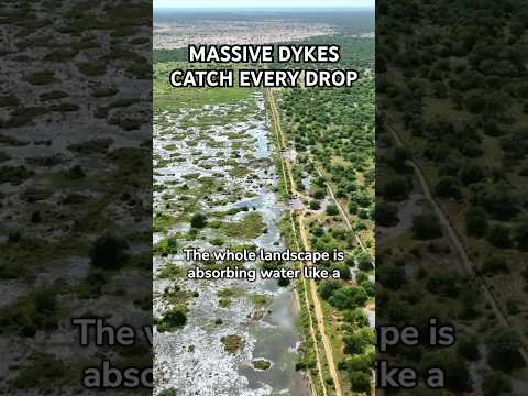 Chad's Sahel: Watershed Rain Capture Fights Desertification