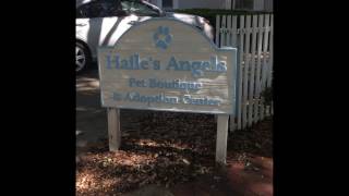 Haile's Angels Pet Rescue: Working to End Needless Euthanizations
