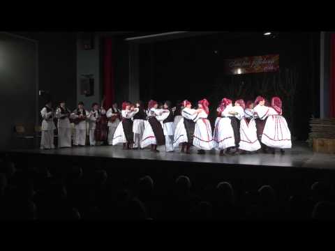 FA "ŠILJAKOVINA", Šiljakovina - URODILA ŠUMA ŽIROVICA - pjesme i plesovi Brodskog Posavlja