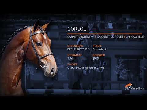 Corlou 2022 stallion video De Wiemselbach