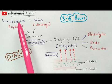 STRUCTURE OF HEART OF FROG BY PHANINDRA GUPTA
