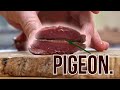 Eating The Pigeons From The Garden