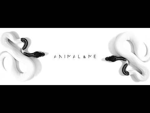 ANIMAL&Me live - FORM Music livestream on Clubbing TV