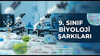 9  Sınıf Biyoloji   Canlıların sınıflandırılması şarkısı