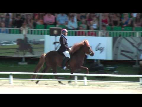 Finnur St. Radegund, WK11