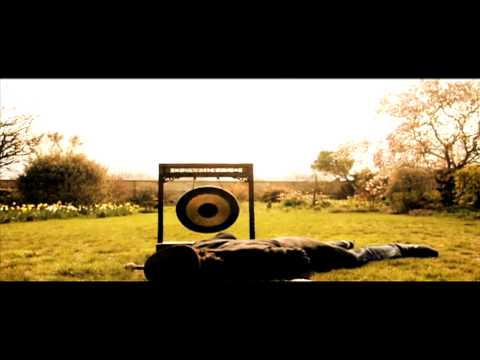Terminal video