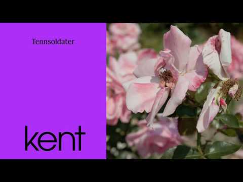 Video thumbnail for Tennsoldater