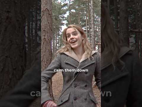 How the Harry Potter Trio Made Fun Out of Nothing