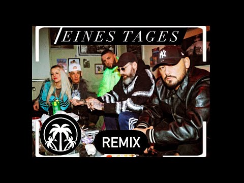 FLER feat. Sido, Bass Sultan Hengzt, METRICKZ - “Eines Tages“ PW8 Remix [unofficial Video] #remix