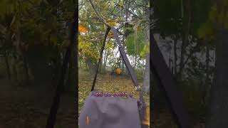 Taška na šamanský buben tmavě hnědá