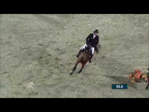 Marcus Ehning/Comme Il Faut GCT Viena 2016