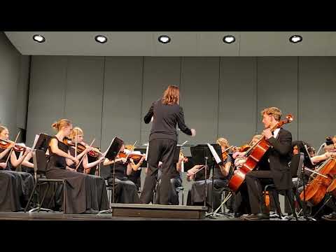 Campo Verde High Symphonic Strings - Subterranean Dialogues - Richard Meyer