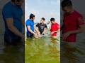 Kabhi Aisa Kiya Hai Sach Batana Swiming Ati Hai Salman Noman ️ Shorts Summerofshorts
