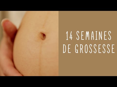 14 semaines de grossesse