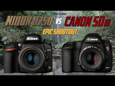 Nikon D750 vs Canon 5Diii Epic Shootout Review | Which camera to buy? | Tutorial Training