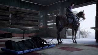ラストオブアス　レフトビハインド　グラウンド