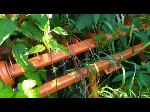 Пневматическая сеялка точного высева SFOGGIA SIGMA 5 экспресс-обзор от Николая Нарватова