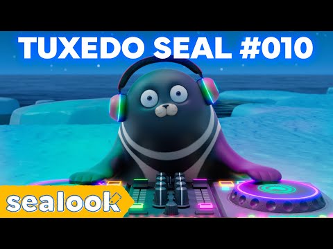 DJ Robbe MIX💿ㅣSEALOOKㅣEpisodes Compilation