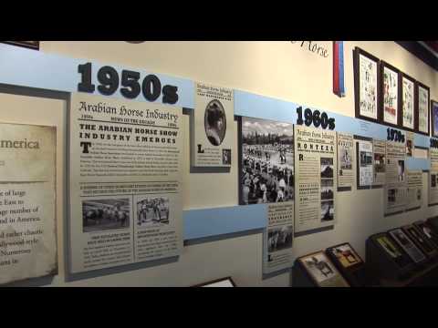 Arabian Jockey Club Short Film