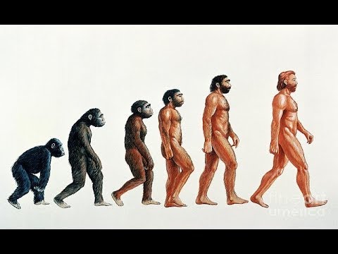 Трейлеры Пожнешь бурю