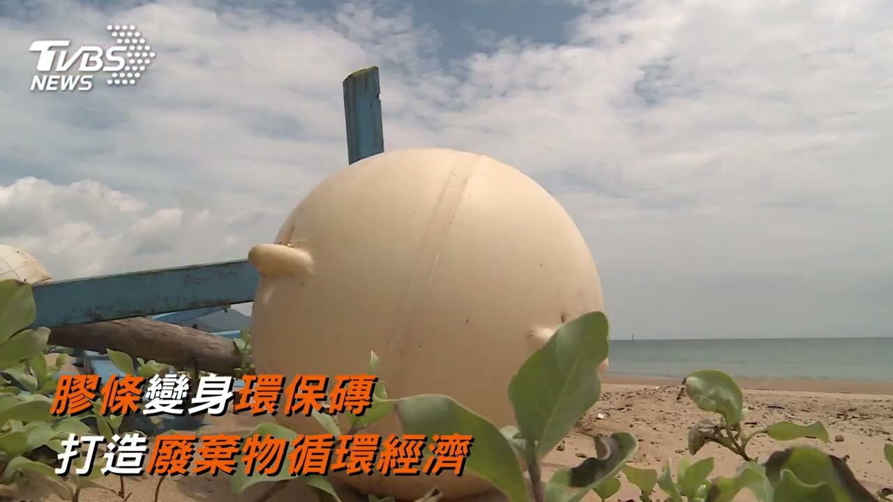 守護海洋！日月光潛水隊淨海、珊瑚復育 打造循環經濟為永續