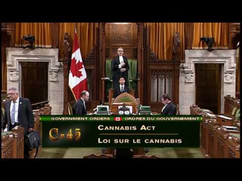 C 45 The Cannabis Act   2nd Reading 30may2017 part2of5