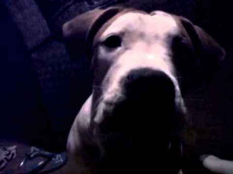 Zeke says I love you