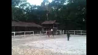 Download lagu Tajuddin Ahmad Canter.3GP mp3