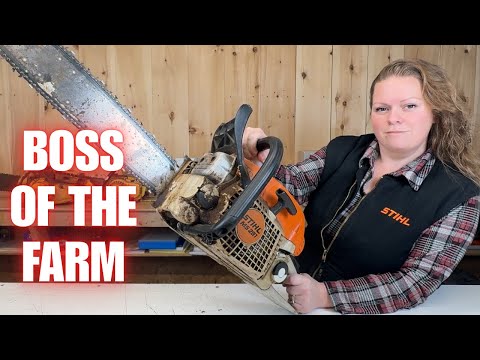 You Filthy,  Rotten Animal: Stihl MS291 FARM BOSS!