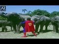 Superman Telugu Movie Scenes NTR Fight With Elephants AR Entertainments