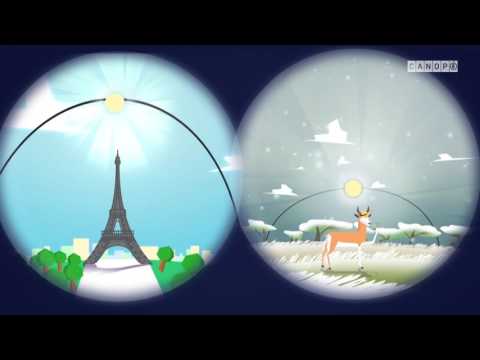 SVT - Les changements des saisons