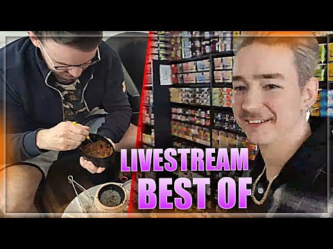 Neue Sorten probieren on Stream 😂 Angel Twitch Highlights | FASTEN REALTALK | AngelCloud