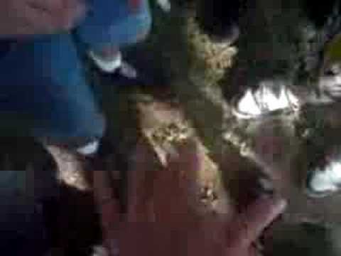 FIRST SWISS BEATBOX JAM PART yoshi stylers